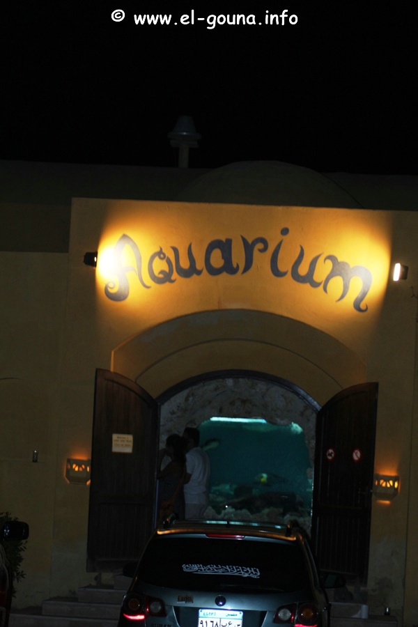 Aquarium 1323